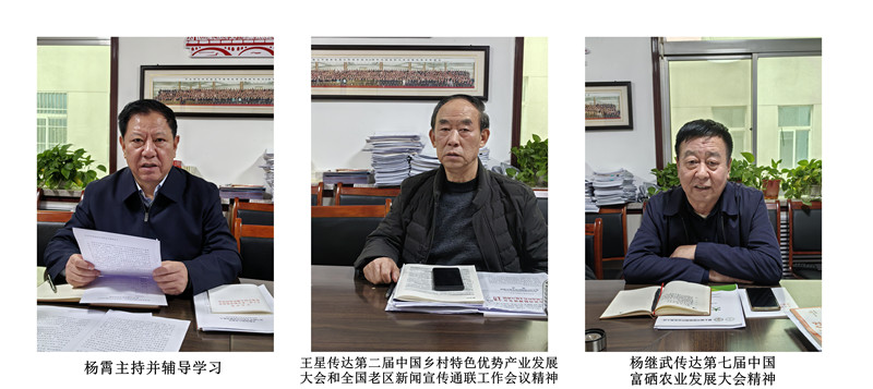 NeoImage_副本.jpg
