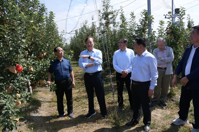 （五）李忙全在延长县七里村镇管村富硒果园调研.JPG